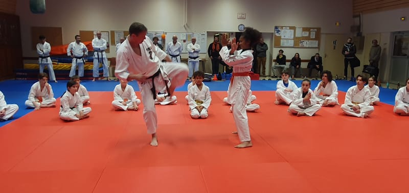 Stage Stéphane CASTRIQUE 7ème DAN SKIF - 03/11/2025