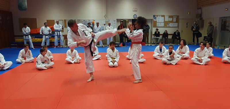Stage Stéphane CASTRIQUE 7ème DAN SKIF - 03/11/2025