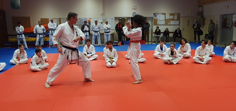 Stage Stéphane CASTRIQUE 7ème DAN SKIF - 03/11/2025