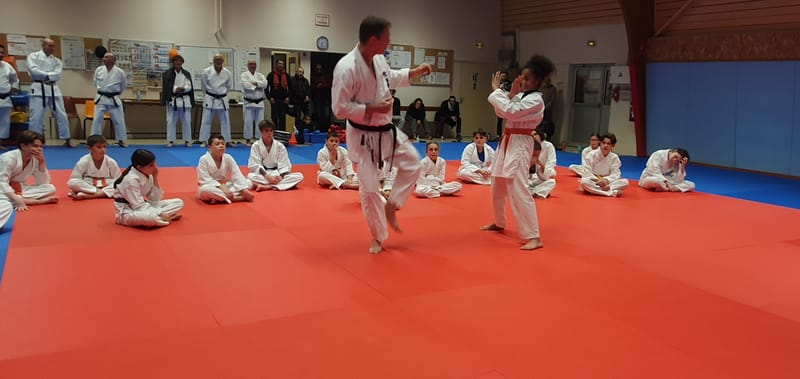 Stage Stéphane CASTRIQUE 7ème DAN SKIF - 03/11/2025