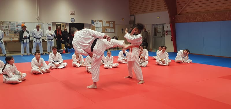 Stage Stéphane CASTRIQUE 7ème DAN SKIF - 03/11/2025