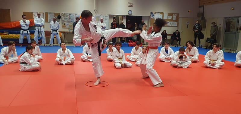 Stage Stéphane CASTRIQUE 7ème DAN SKIF - 03/11/2025