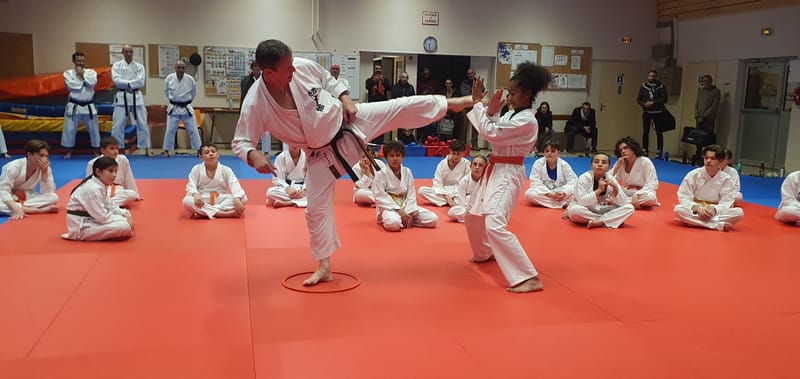 Stage Stéphane CASTRIQUE 7ème DAN SKIF - 03/11/2025