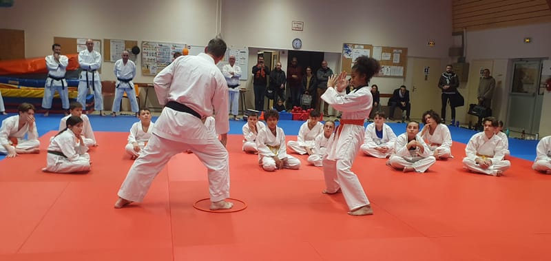 Stage Stéphane CASTRIQUE 7ème DAN SKIF - 03/11/2025