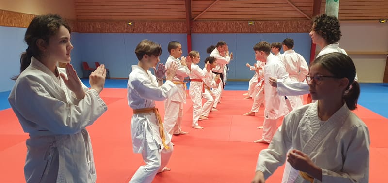 Stage Stéphane CASTRIQUE 7ème DAN SKIF - 03/11/2025