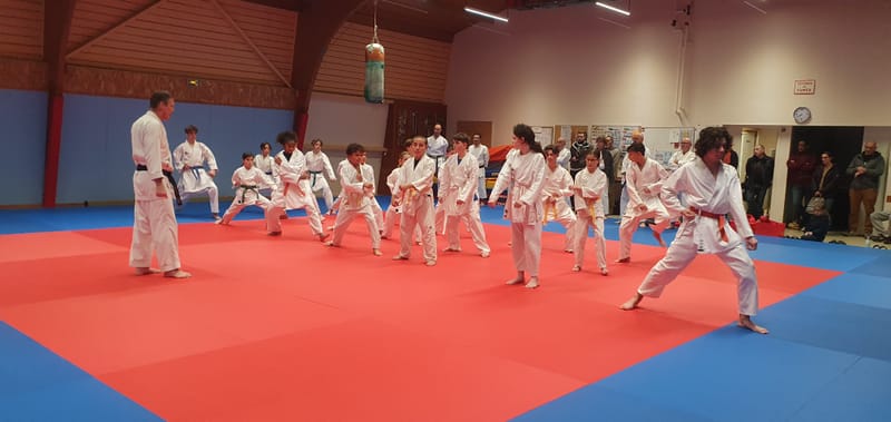 Stage Stéphane CASTRIQUE 7ème DAN SKIF - 03/11/2025