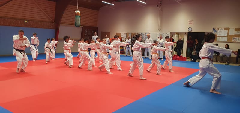 Stage Stéphane CASTRIQUE 7ème DAN SKIF - 03/11/2025