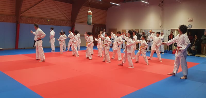 Stage Stéphane CASTRIQUE 7ème DAN SKIF - 03/11/2025