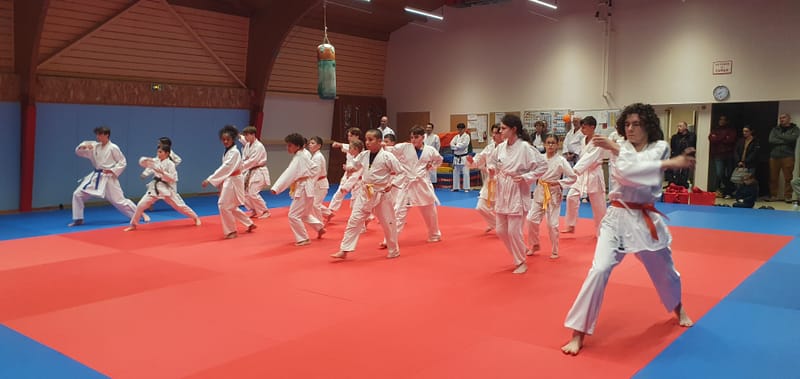 Stage Stéphane CASTRIQUE 7ème DAN SKIF - 03/11/2025