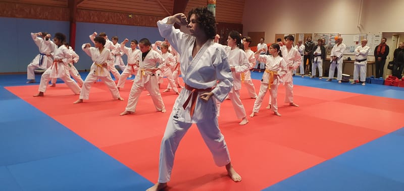 Stage Stéphane CASTRIQUE 7ème DAN SKIF - 03/11/2025