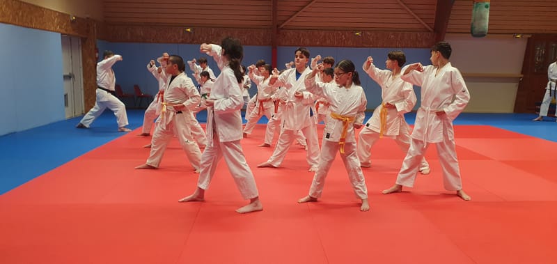 Stage Stéphane CASTRIQUE 7ème DAN SKIF - 03/11/2025