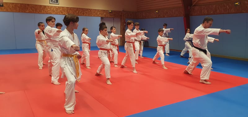 Stage Stéphane CASTRIQUE 7ème DAN SKIF - 03/11/2025