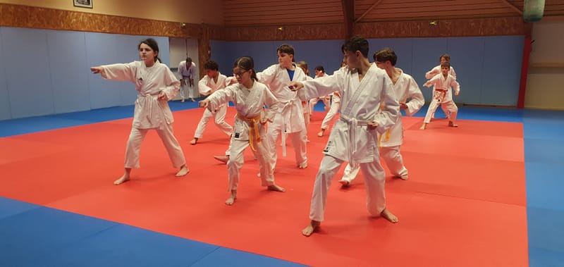 Stage Stéphane CASTRIQUE 7ème DAN SKIF - 03/11/2025