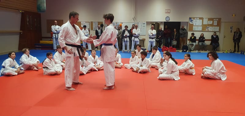 Stage Stéphane CASTRIQUE 7ème DAN SKIF - 03/11/2025