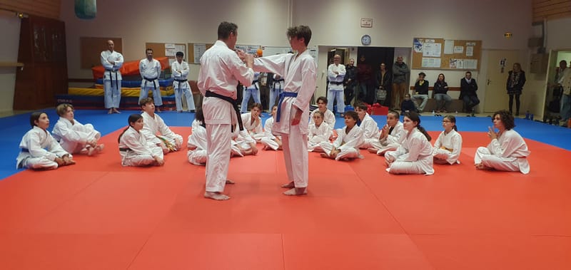 Stage Stéphane CASTRIQUE 7ème DAN SKIF - 03/11/2025