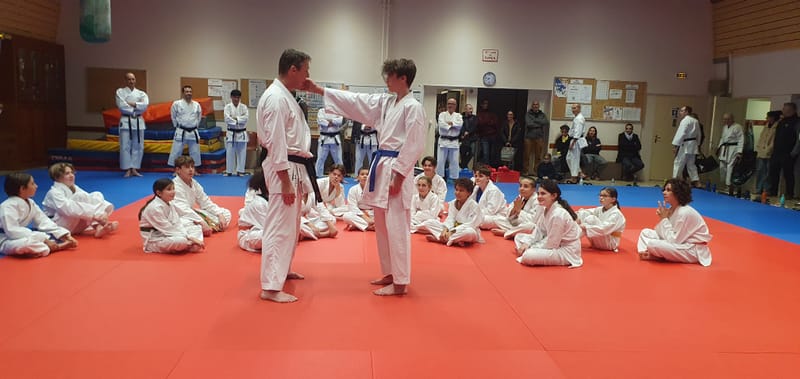 Stage Stéphane CASTRIQUE 7ème DAN SKIF - 03/11/2025