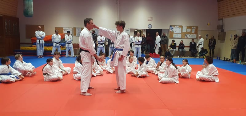 Stage Stéphane CASTRIQUE 7ème DAN SKIF - 03/11/2025