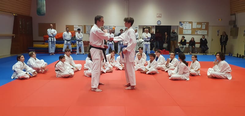 Stage Stéphane CASTRIQUE 7ème DAN SKIF - 03/11/2025