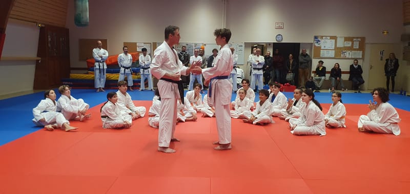 Stage Stéphane CASTRIQUE 7ème DAN SKIF - 03/11/2025