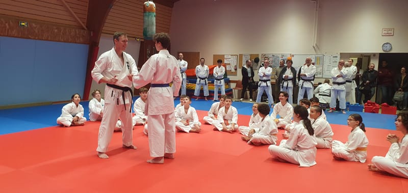 Stage Stéphane CASTRIQUE 7ème DAN SKIF - 03/11/2025