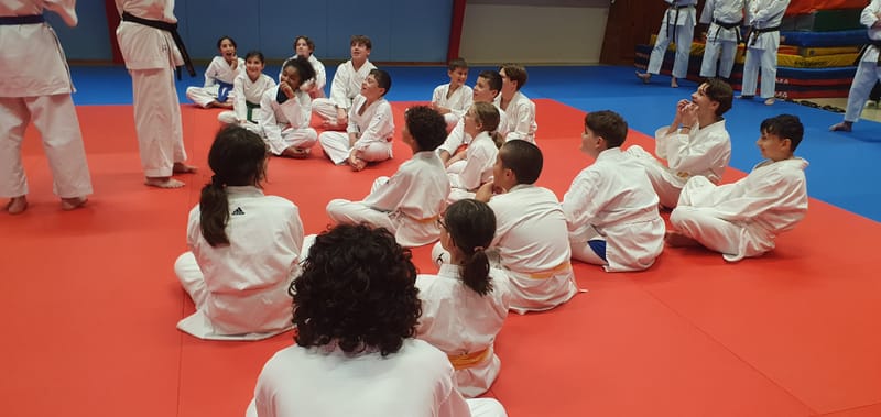 Stage Stéphane CASTRIQUE 7ème DAN SKIF - 03/11/2025