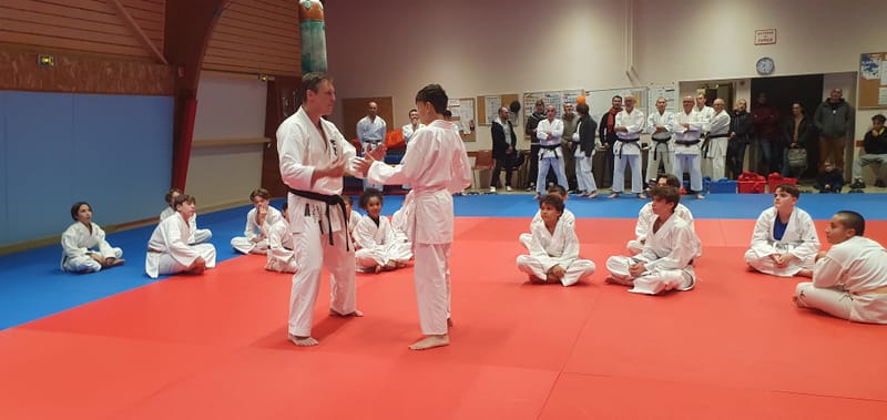 Stage Stéphane CASTRIQUE 7ème DAN SKIF - 03/11/2025