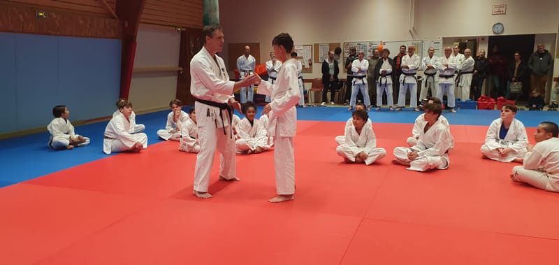 Stage Stéphane CASTRIQUE 7ème DAN SKIF - 03/11/2025