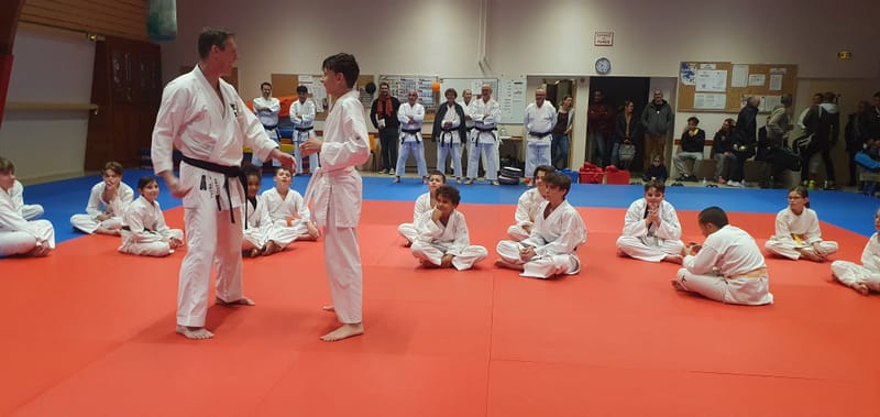 Stage Stéphane CASTRIQUE 7ème DAN SKIF - 03/11/2025