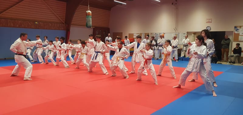 Stage Stéphane CASTRIQUE 7ème DAN SKIF - 03/11/2025