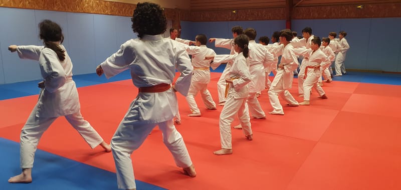 Stage Stéphane CASTRIQUE 7ème DAN SKIF - 03/11/2025