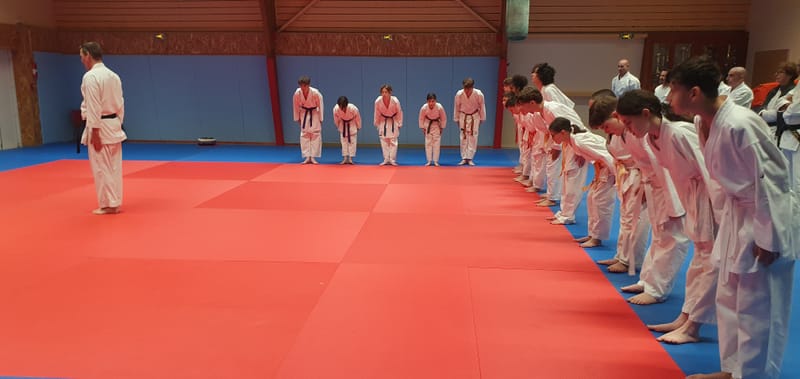 Stage Stéphane CASTRIQUE 7ème DAN SKIF - 03/11/2025