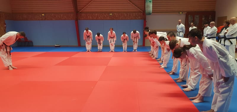 Stage Stéphane CASTRIQUE 7ème DAN SKIF - 03/11/2025