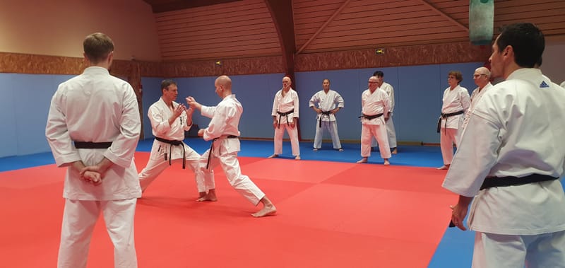 Stage Stéphane CASTRIQUE 7ème DAN SKIF - 03/11/2025