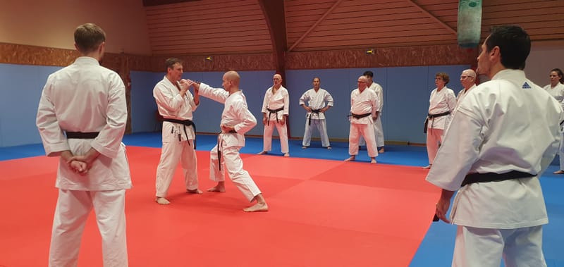 Stage Stéphane CASTRIQUE 7ème DAN SKIF - 03/11/2025