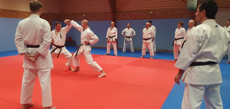 Stage Stéphane CASTRIQUE 7ème DAN SKIF - 03/11/2025