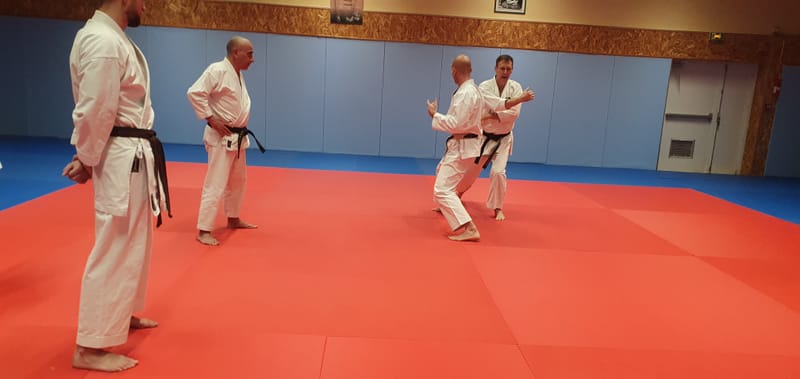 Stage Stéphane CASTRIQUE 7ème DAN SKIF - 03/11/2025