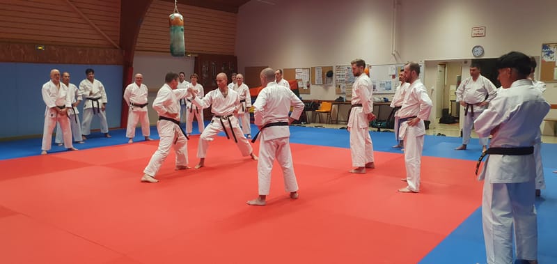 Stage Stéphane CASTRIQUE 7ème DAN SKIF - 03/11/2025