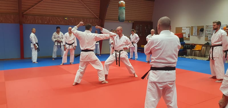 Stage Stéphane CASTRIQUE 7ème DAN SKIF - 03/11/2025