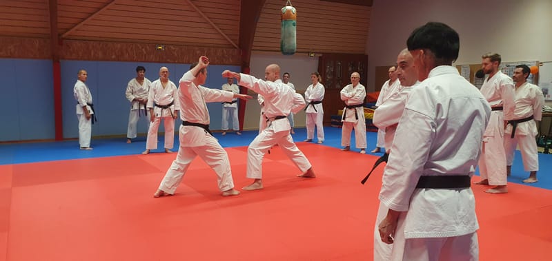 Stage Stéphane CASTRIQUE 7ème DAN SKIF - 03/11/2025