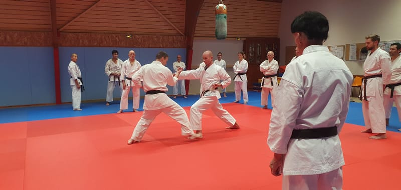 Stage Stéphane CASTRIQUE 7ème DAN SKIF - 03/11/2025