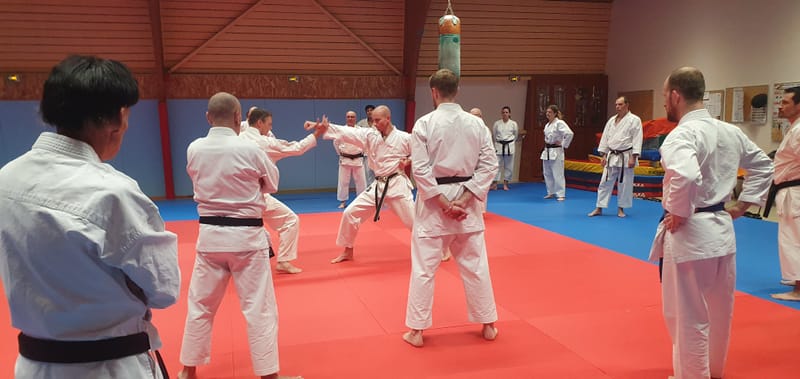 Stage Stéphane CASTRIQUE 7ème DAN SKIF - 03/11/2025