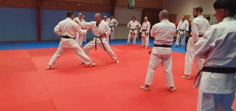 Stage Stéphane CASTRIQUE 7ème DAN SKIF - 03/11/2025