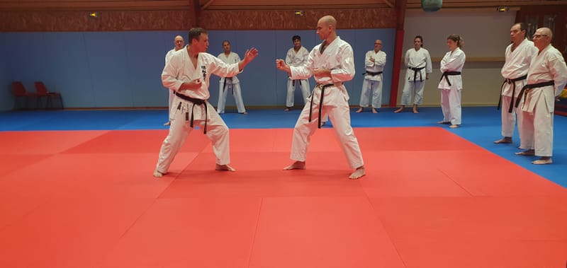 Stage Stéphane CASTRIQUE 7ème DAN SKIF - 03/11/2025