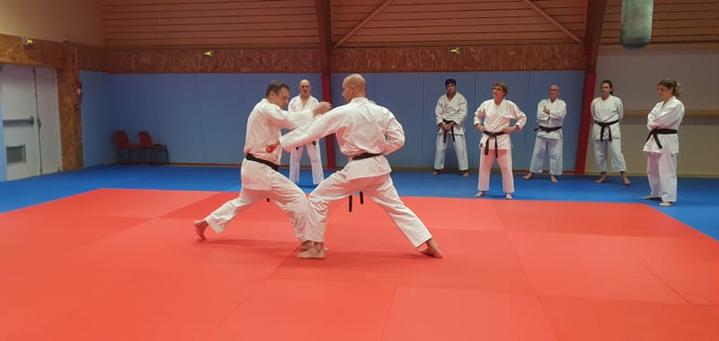 Stage Stéphane CASTRIQUE 7ème DAN SKIF - 03/11/2025