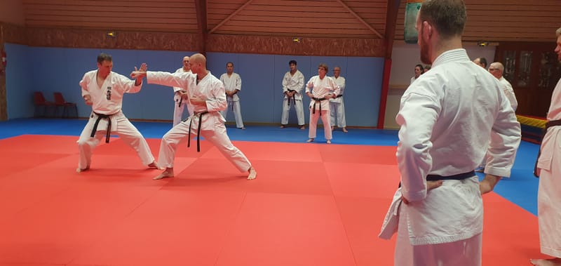 Stage Stéphane CASTRIQUE 7ème DAN SKIF - 03/11/2025