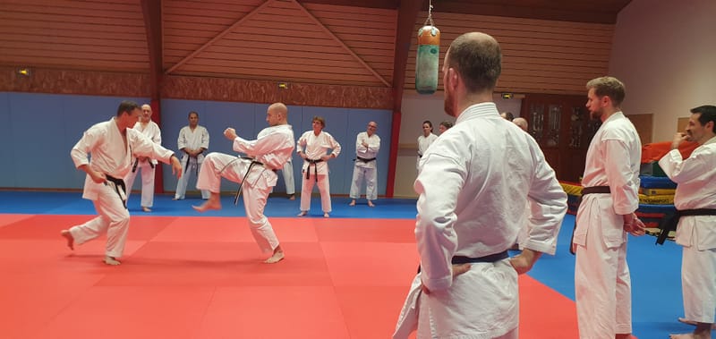 Stage Stéphane CASTRIQUE 7ème DAN SKIF - 03/11/2025