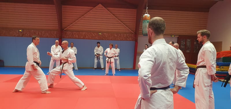 Stage Stéphane CASTRIQUE 7ème DAN SKIF - 03/11/2025