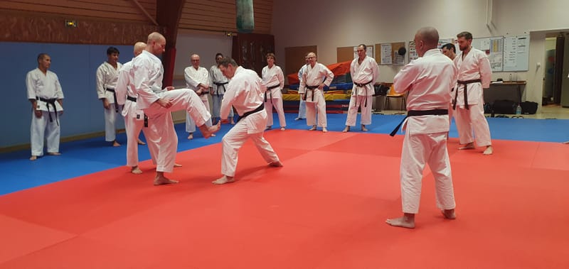 Stage Stéphane CASTRIQUE 7ème DAN SKIF - 03/11/2025