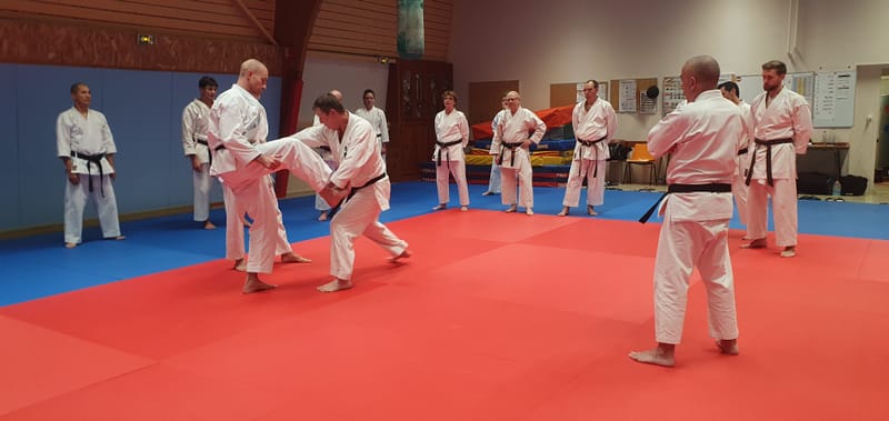 Stage Stéphane CASTRIQUE 7ème DAN SKIF - 03/11/2025