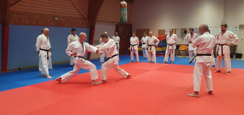Stage Stéphane CASTRIQUE 7ème DAN SKIF - 03/11/2025